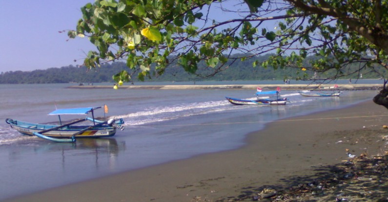 penyu bay